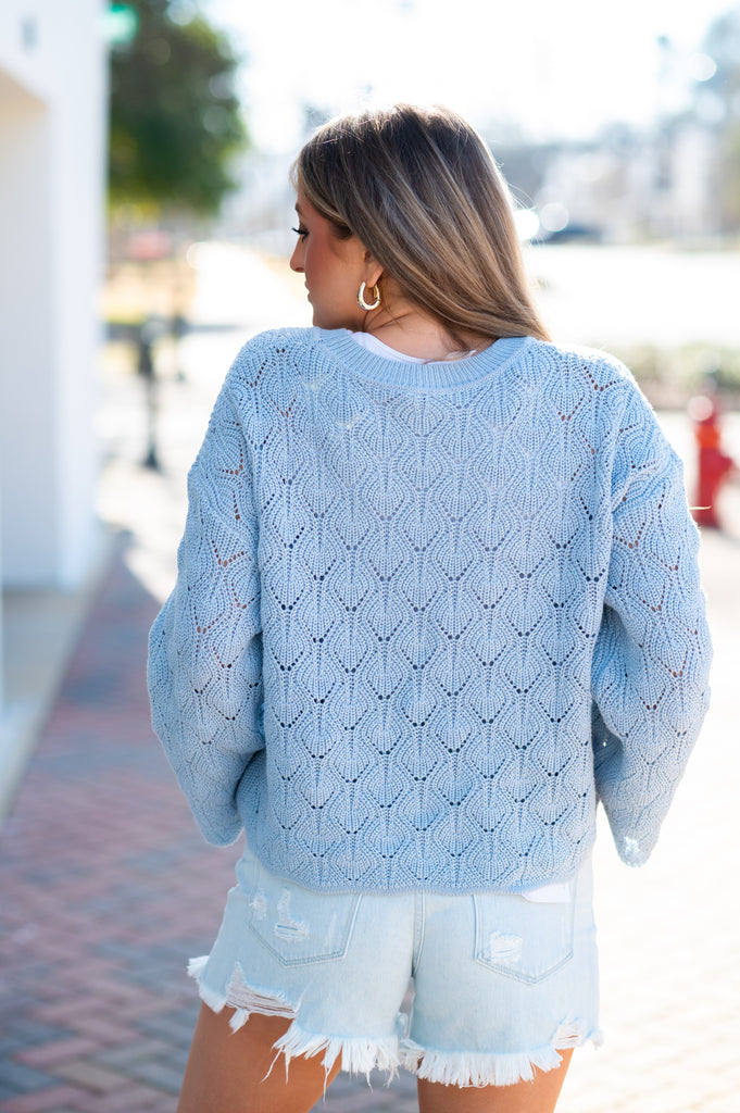 Daisy Embroidered Knit Sweater-Sky Blue