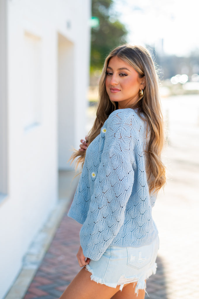 Daisy Embroidered Knit Sweater-Sky Blue